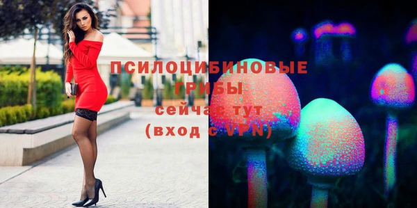 дживик Балахна